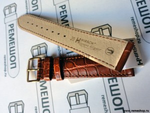 HIRSCH Genuine Alligator